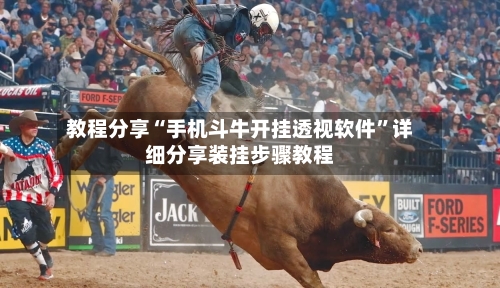 教程分享“手机斗牛开挂透视软件”详细分享装挂步骤教程-第3张图片