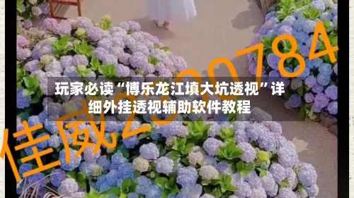 玩家必读“博乐龙江填大坑透视”详细外挂透视辅助软件教程-第3张图片