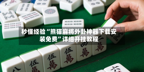 秒懂经验“熊猫麻将外卦神器下载安装免费	”详细开挂教程-第2张图片