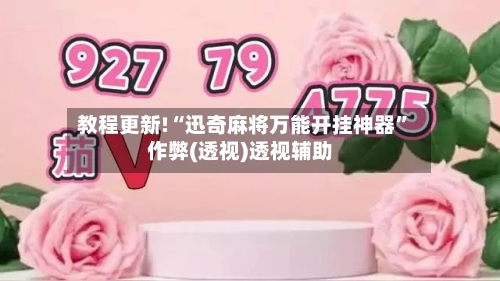 教程更新!“迅奇麻将万能开挂神器”作弊(透视)透视辅助-第2张图片