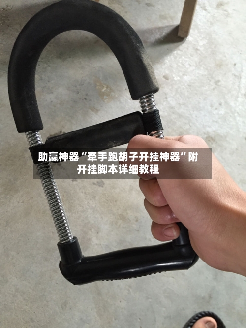 助赢神器“牵手跑胡子开挂神器”附开挂脚本详细教程-第2张图片