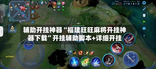 辅助开挂神器“福建旺旺麻将开挂神器下载”开挂辅助脚本+详细开挂-第3张图片