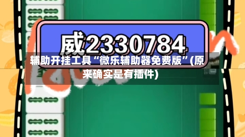 辅助开挂工具“微乐辅助器免费版	”(原来确实是有插件)-第2张图片