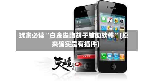 玩家必读“白金岛跑胡子辅助软件”(原来确实是有插件)-第3张图片