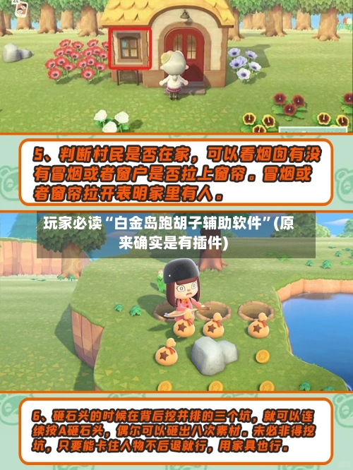 玩家必读“白金岛跑胡子辅助软件	”(原来确实是有插件)-第2张图片