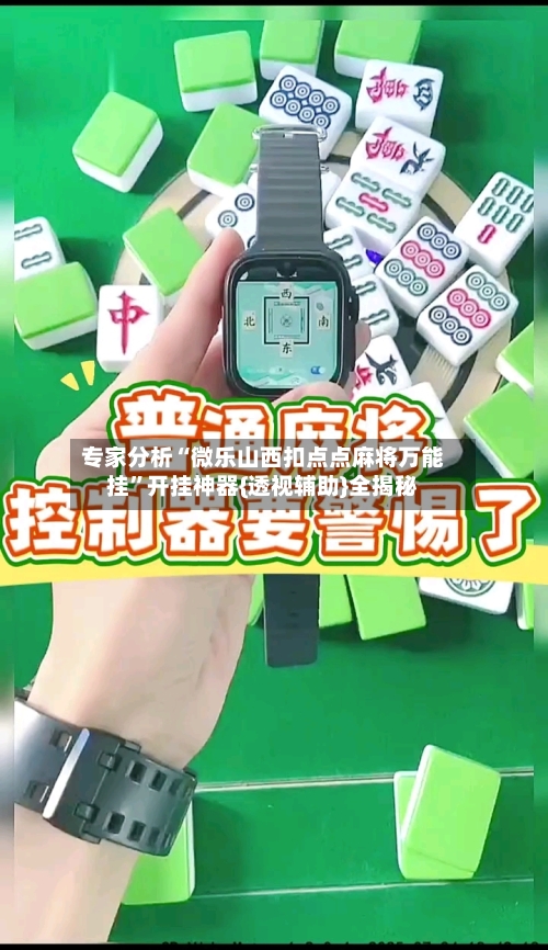 专家分析“微乐山西扣点点麻将万能挂	”开挂神器{透视辅助}全揭秘-第2张图片