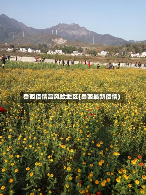 岳西疫情高风险地区(岳西最新疫情)-第2张图片