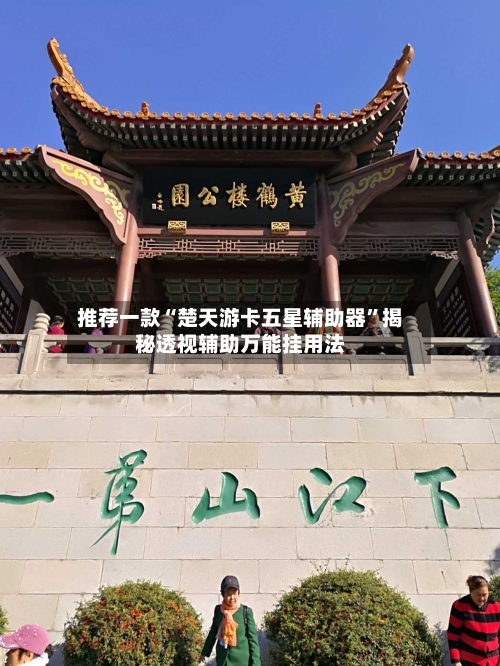 推荐一款“楚天游卡五星辅助器”揭秘透视辅助万能挂用法-第2张图片