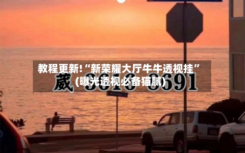 教程更新!“新荣耀大厅牛牛透视挂”(曝光透视必备猫腻)