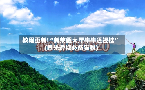 教程更新!“新荣耀大厅牛牛透视挂	”(曝光透视必备猫腻)-第2张图片