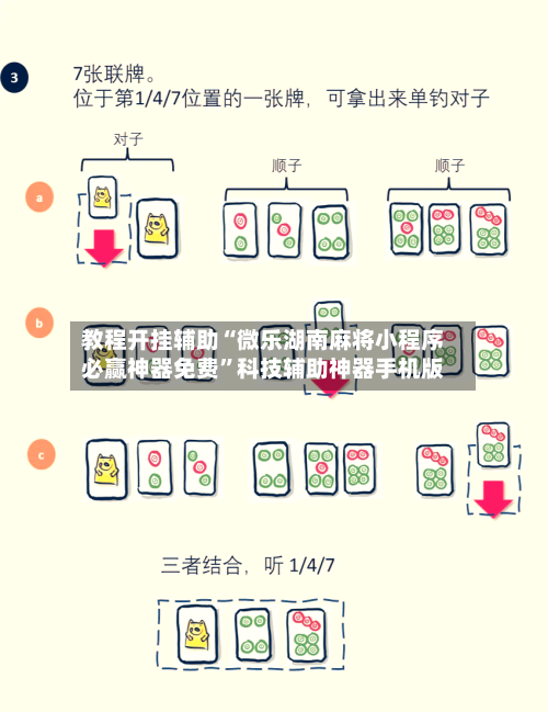 教程开挂辅助“微乐湖南麻将小程序必赢神器免费	”科技辅助神器手机版-第2张图片