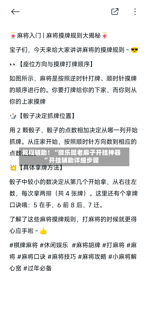 教程辅助！“微乐捉老麻子开挂神器”开挂辅助详细步骤-第3张图片