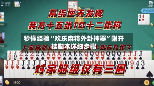 秒懂经验“欢乐麻将外卦神器”附开挂脚本详细步骤-第2张图片