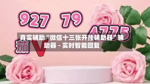 真实辅助“微信十三张开挂辅助器”辅助器 - 实时智能回复-第2张图片