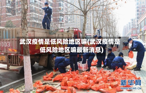 武汉疫情是低风险地区嘛(武汉疫情是低风险地区嘛最新消息)