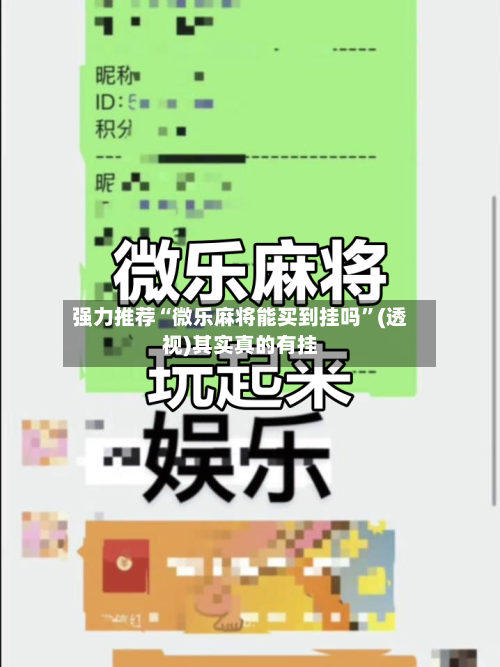 强力推荐“微乐麻将能买到挂吗”(透视)其实真的有挂-第2张图片