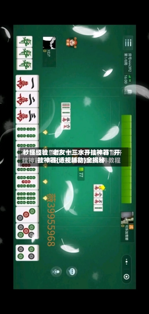 秒懂经验“老友十三水开挂神器	”开挂神器{透视辅助}全揭秘-第2张图片