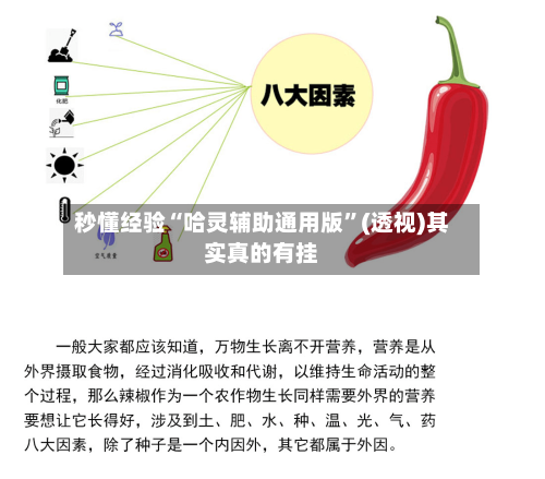 秒懂经验“哈灵辅助通用版”(透视)其实真的有挂-第2张图片
