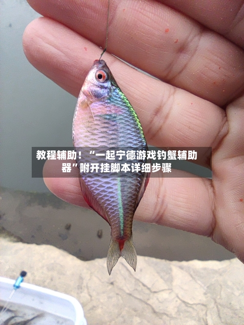 教程辅助！“一起宁德游戏钓蟹辅助器	”附开挂脚本详细步骤-第2张图片