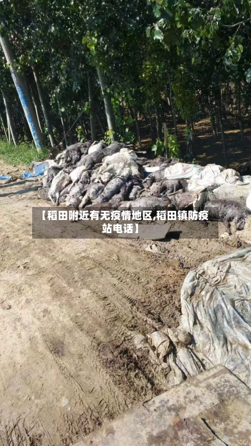 【稻田附近有无疫情地区,稻田镇防疫站电话】-第3张图片