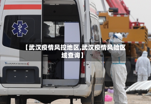 【武汉疫情风控地区,武汉疫情风险区域查询】