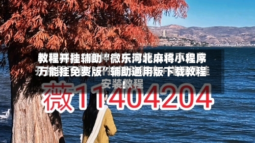 教程开挂辅助“微乐河北麻将小程序万能挂免费版	”辅助通用版下载教程！-第2张图片