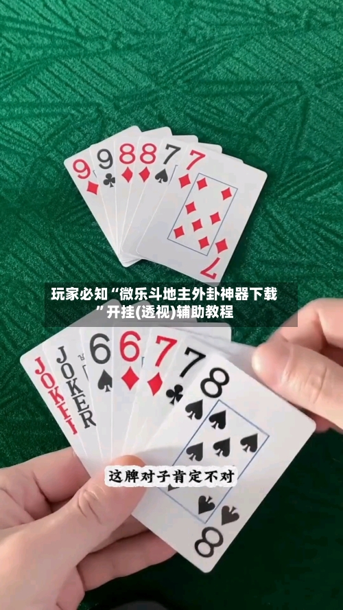 玩家必知“微乐斗地主外卦神器下载”开挂(透视)辅助教程-第3张图片