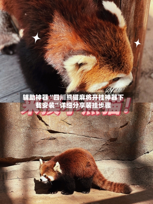 辅助神器“四川熊猫麻将开挂神器下载安装”详细分享装挂步骤-第3张图片