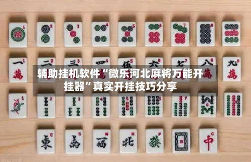 辅助挂机软件“微乐河北麻将万能开挂器”真实开挂技巧分享-第2张图片