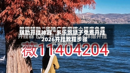 辅助开挂神器“多乐跑胡子免费开挂”2026开挂教程步骤-第3张图片
