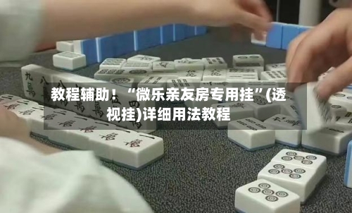 教程辅助！“微乐亲友房专用挂”(透视挂)详细用法教程-第2张图片