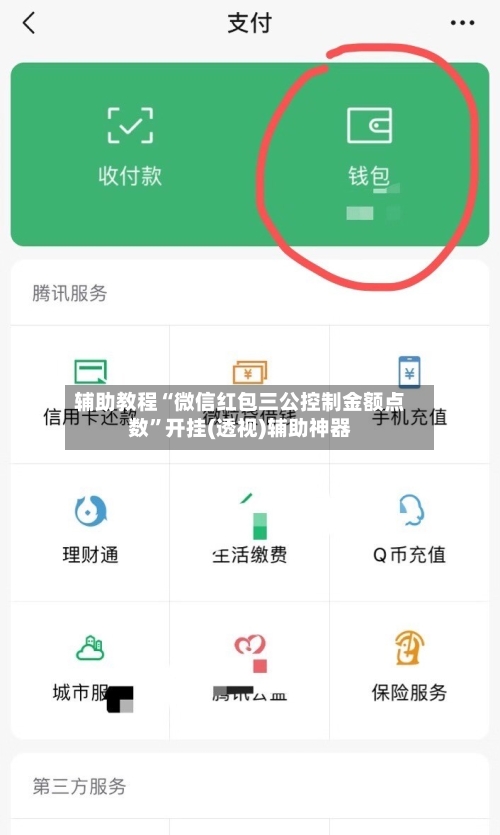 辅助教程“微信红包三公控制金额点数”开挂(透视)辅助神器-第3张图片
