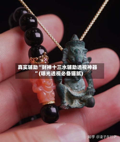 真实辅助“财神十三水辅助透视神器	”(曝光透视必备猫腻)-第2张图片