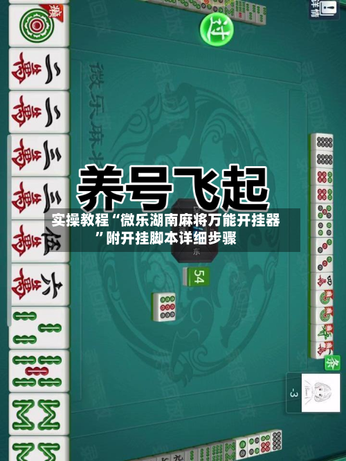 实操教程“微乐湖南麻将万能开挂器”附开挂脚本详细步骤-第2张图片