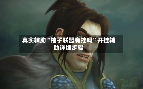 真实辅助“柚子联盟有挂吗”开挂辅助详细步骤