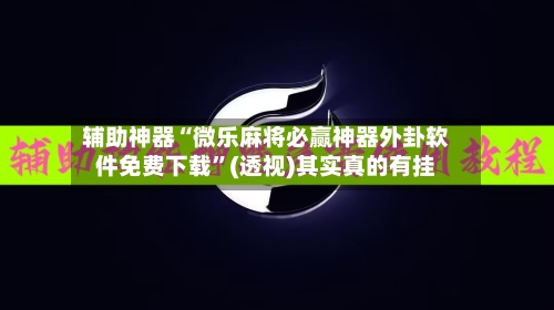 辅助神器“微乐麻将必赢神器外卦软件免费下载”(透视)其实真的有挂-第3张图片