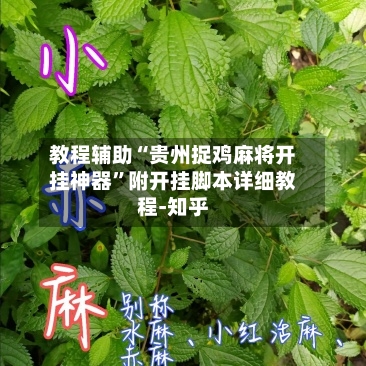 教程辅助“贵州捉鸡麻将开挂神器”附开挂脚本详细教程-知乎-第2张图片