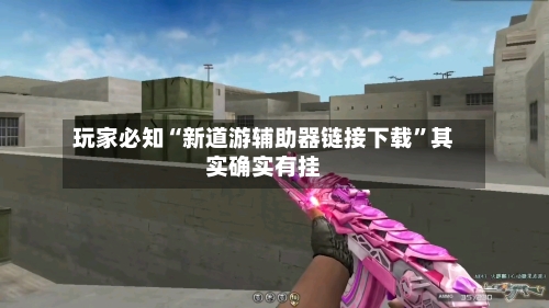 玩家必知“新道游辅助器链接下载”其实确实有挂-第3张图片