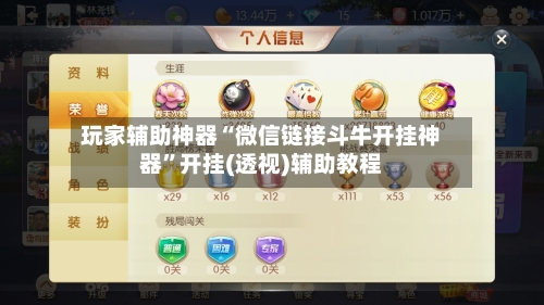 玩家辅助神器“微信链接斗牛开挂神器”开挂(透视)辅助教程-第2张图片