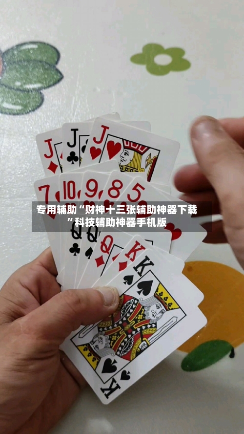 专用辅助“财神十三张辅助神器下载”科技辅助神器手机版-第3张图片