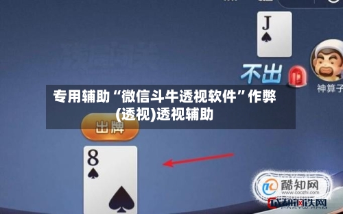 专用辅助“微信斗牛透视软件	”作弊(透视)透视辅助-第2张图片