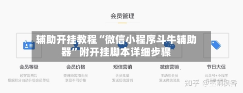 辅助开挂教程“微信小程序斗牛辅助器	”附开挂脚本详细步骤-第2张图片