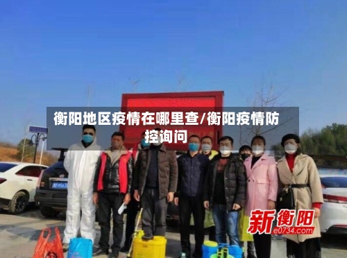衡阳地区疫情在哪里查/衡阳疫情防控询问