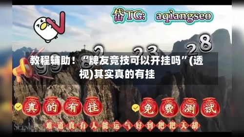 教程辅助！“牌友竞技可以开挂吗	”(透视)其实真的有挂-第3张图片