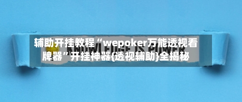 辅助开挂教程“wepoker万能透视看牌器”开挂神器{透视辅助}全揭秘-第2张图片