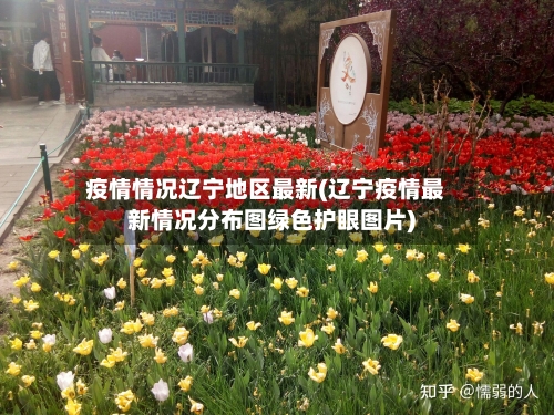 疫情情况辽宁地区最新(辽宁疫情最新情况分布图绿色护眼图片)-第3张图片