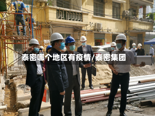 泰密哪个地区有疫情/泰密集团-第3张图片