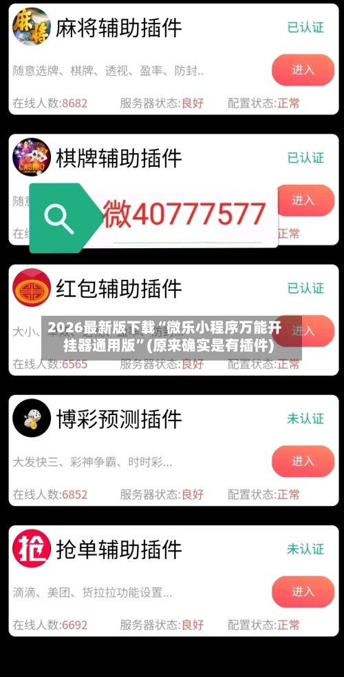 2026最新版下载“微乐小程序万能开挂器通用版	”(原来确实是有插件)-第2张图片