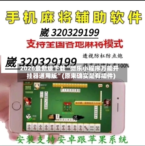 2026最新版下载“微乐小程序万能开挂器通用版”(原来确实是有插件)-第3张图片