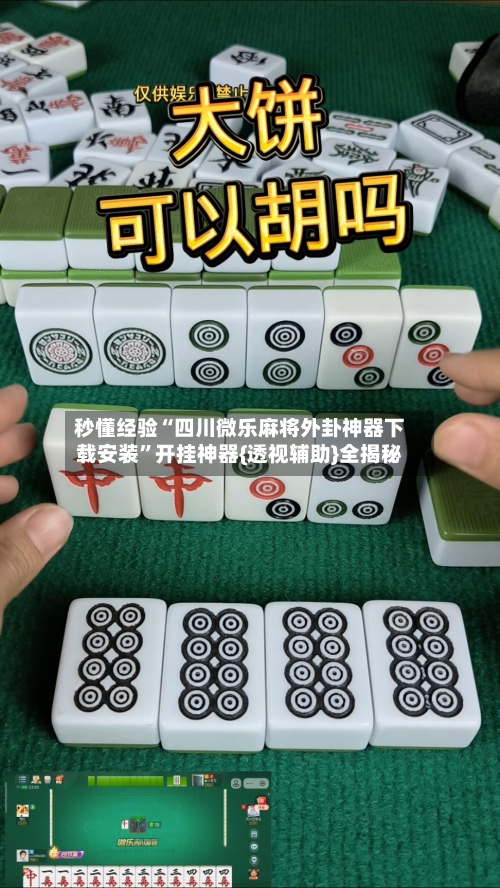 秒懂经验“四川微乐麻将外卦神器下载安装	”开挂神器{透视辅助}全揭秘-第2张图片